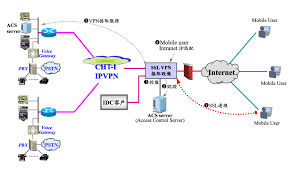 大学校园鲜花盛开 争奇斗艳